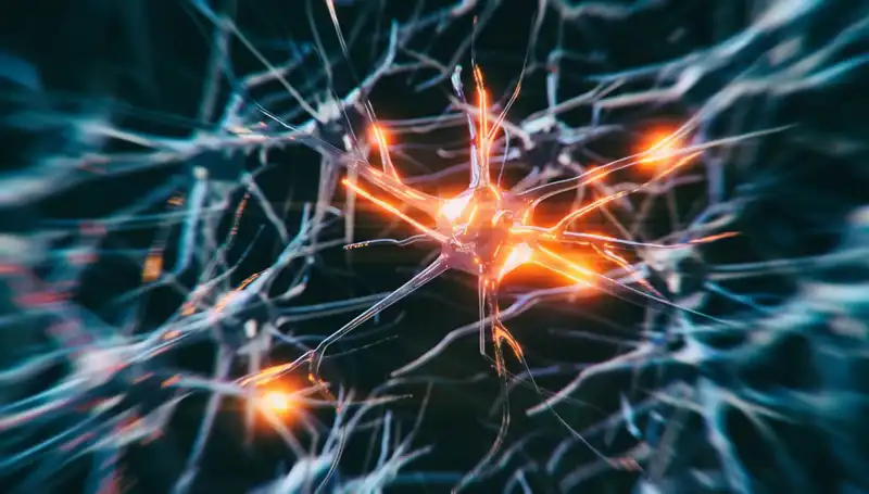 Alzheimer Vakalarındaki Artışın Nedenleri ve Çözüm Önerileri
