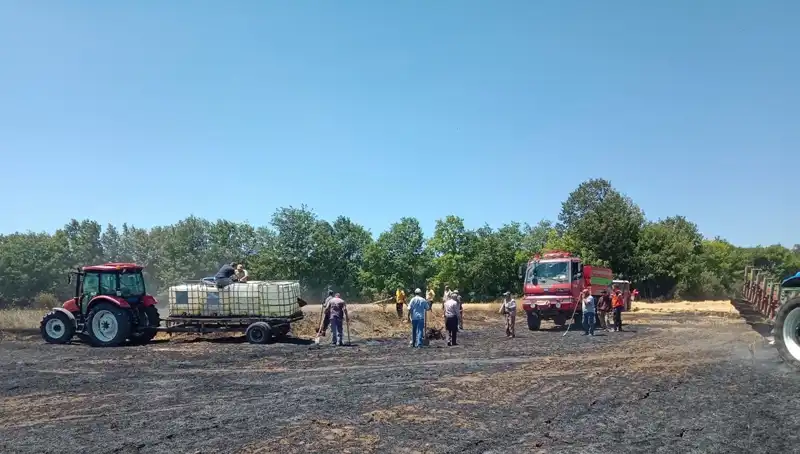 Buğday Tarlasında Yangın: 10 Dönümlük Hasar ve Olası Nedenler