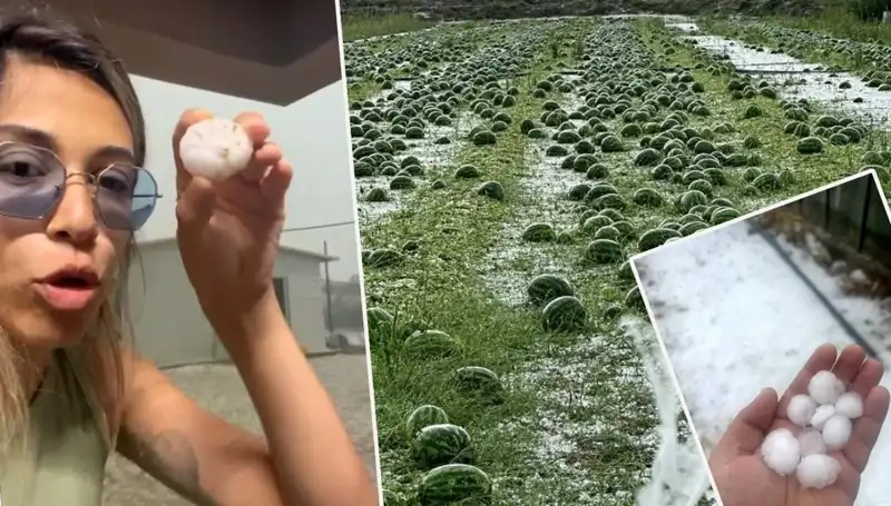 Antalya'da Dolu ve Hortum Felaketi! Gözyaşlarıyla Anlatılan Kayıplar