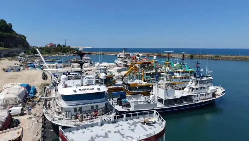 Karadeniz'de 1 Eylül'e Geri Sayım: Bu Tarih Ne Anlama Geliyor?