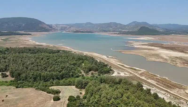 İzmir'de Tehlike Çanları: Geçmiş Yıla Göre Yüzde 50’lik Düşüş Nedenleri