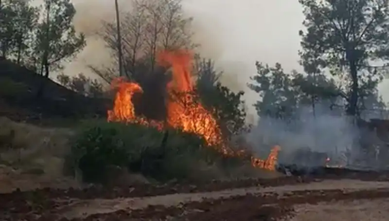 Denizli'de Ortaya Çıkan Orman Yangını 7 Hektar Alanı Küle Çevirdi