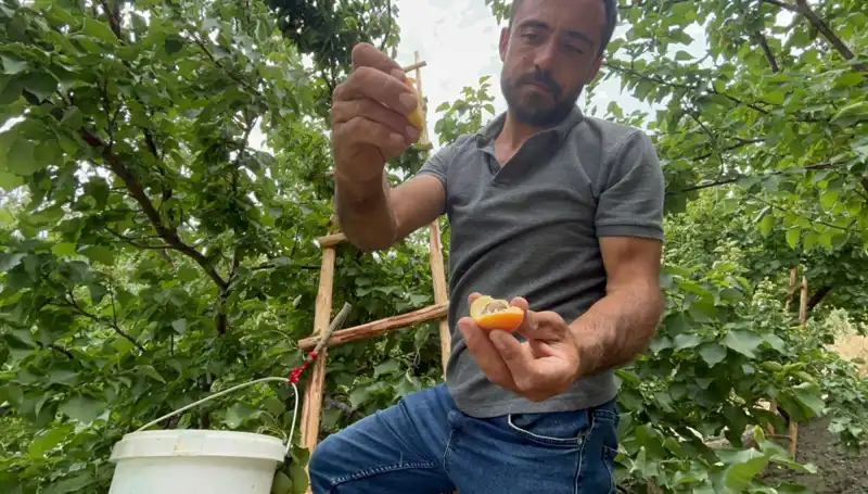 50 TL ile 70 TL Arasında Alıcı Bulan Eşsiz Bir Lezzet Deneyimi