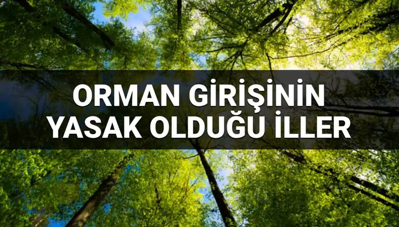 2025'te Ormanlara Girişin Yasaklandığı İller: İşte Detaylar