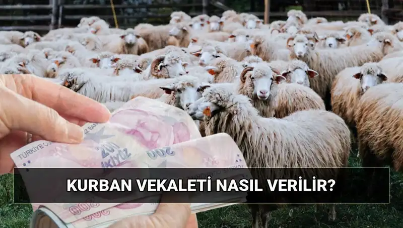 Vekaletle Kurban Kesimi: Diyanet'in 2025 Bedeli ve Süreç