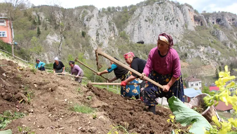 Zorlu Mesai Başladı: Sırtında Sepet, Elinde Kazma ile Ekonomik Mücadele