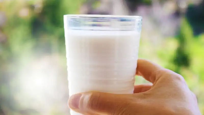 Uzmanlardan Çarpıcı Açıklama: Süt Şişkinliğe Neden Olur Mu?