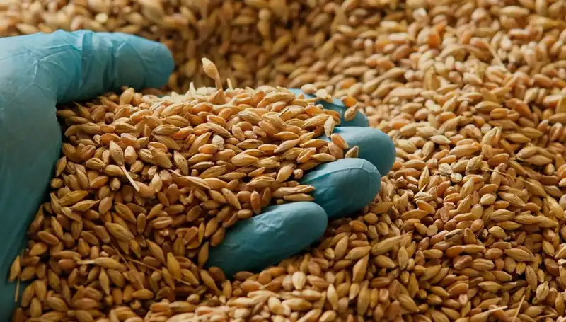 Kalp Hastalığı Riskini Azaltan Beslenme Alışkanlıkları Neler? Uzmanlardan Tavsiyeler