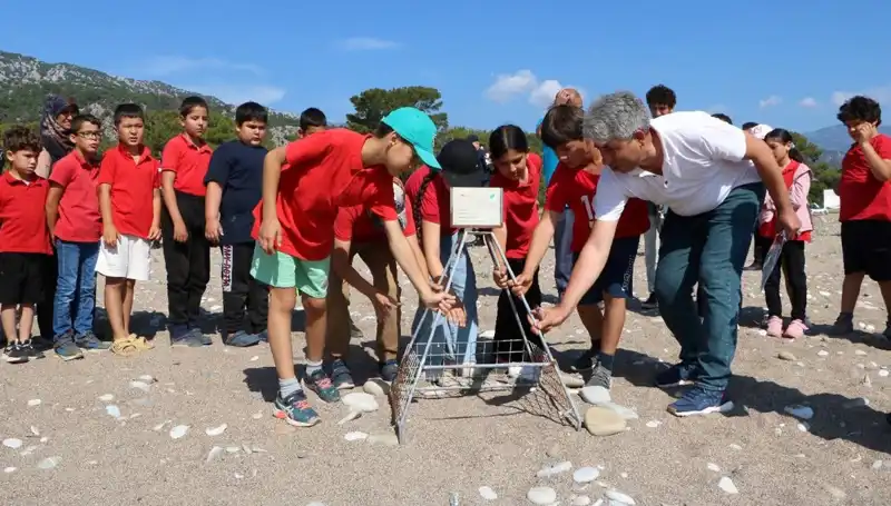Kemer'de Caretta Caretta Koruma Yasakları Başladı! Neler Değişti?