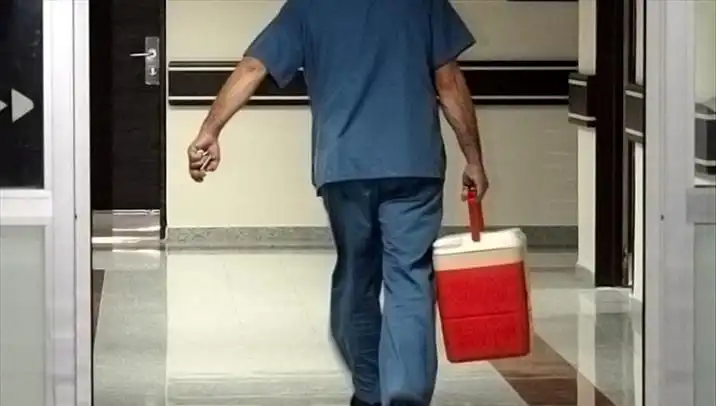 Organ Bağışında Devrim: e-Devlet ve e-Nabız ile Kesintisiz Destek