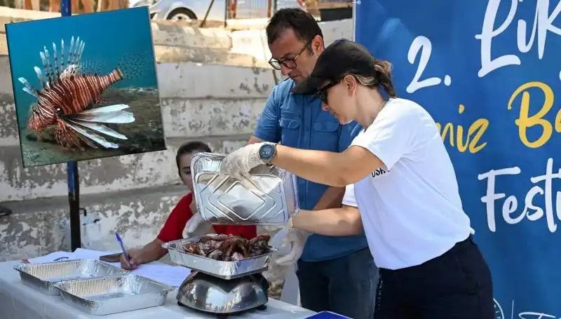 Antalya'da Rekor Av: İstilacı Aslan Balığı Yarışması Düzenleniyor!
