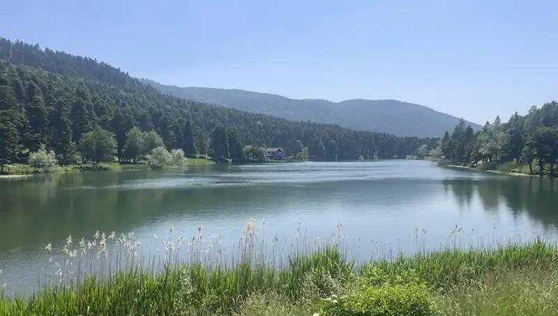 Bolu'nun Milli Parklarına Ziyaretçi Akını: Doğanın Kalbinde Bir Keşif