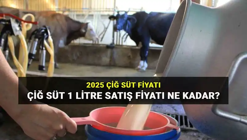 Çiğ Süt Fiyatları 2025: Ulusal Süt Konseyi'nden Şok Açıklama!