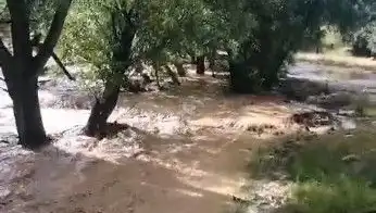 Mersin'deki Sağanak Yağış Hayatı Olumsuz Etkiledi: Sel Felaketi