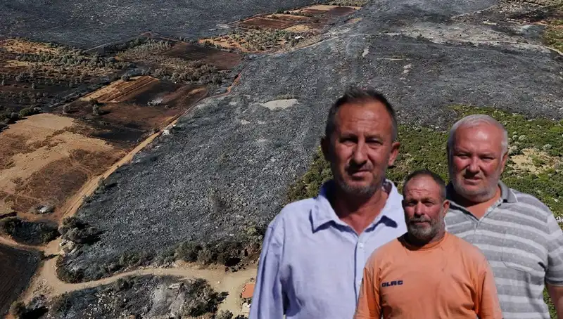 Çeşme Yangını: Sıcak Yaz Günlerinin Ardındaki Acı Bilanço ve Onarılamaz Kaybın Hikayesi