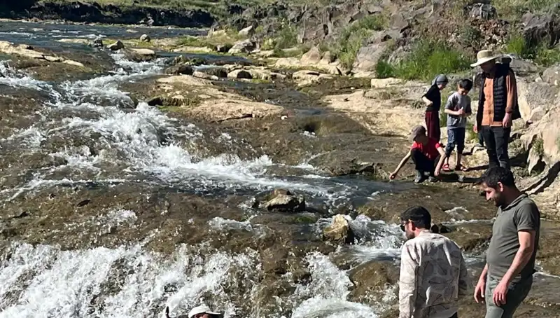 İnci Kefali Göçü: Doğanın Harikası Yılın En Büyüleyici Gösterisiyle Karşınızda
