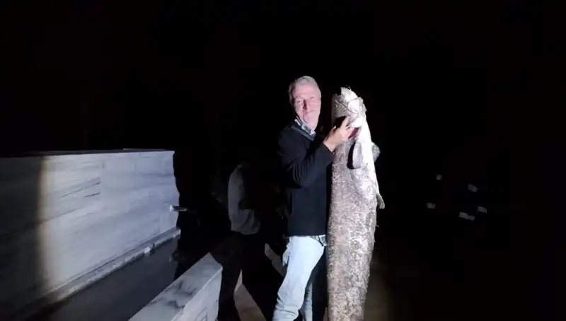 40 Kiloluk Dev Balık Barajda Oltaya Takıldı, Avcı Şaşkın Kaldı!