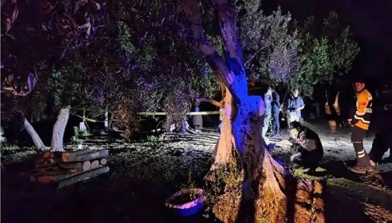 Çiftlikteki Baltalı Vahşet Olayında Bir Tutuklama Gerçekleşti!