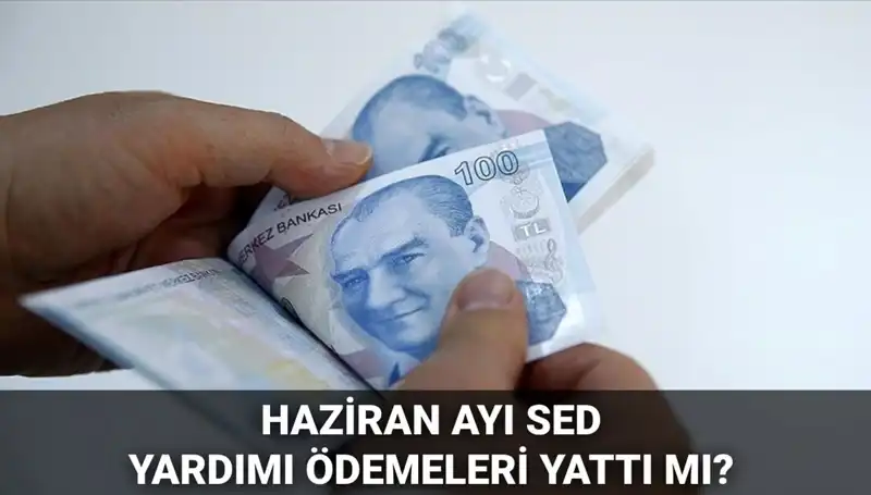 Haziran 2025 SED Ödemeleri: Sorgulama Süreci ve Müjdeli Haberler