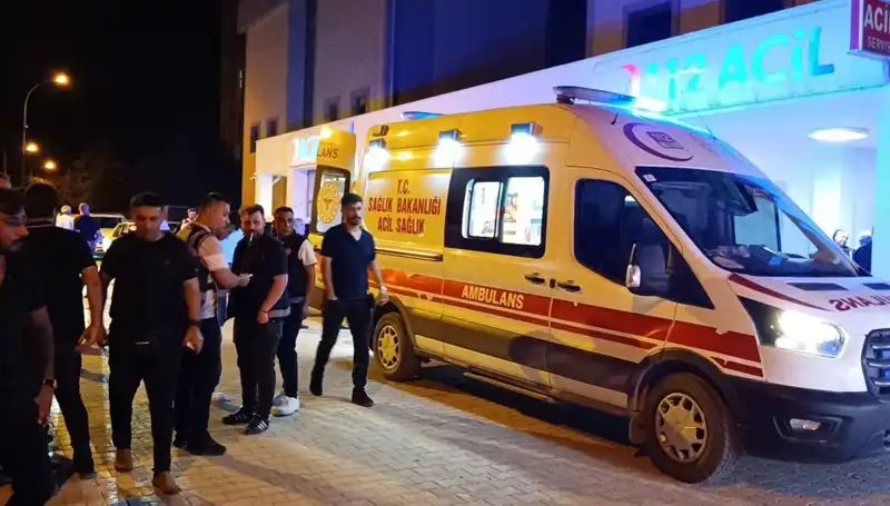 Kardeşini Koruma Çabasının Bedeli: Korkunç Son!