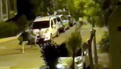 Avcılar'da Vatandaşa İki Düşmanı Durduran Cesur İşyeri Sahiplerinin Kahramanlığı