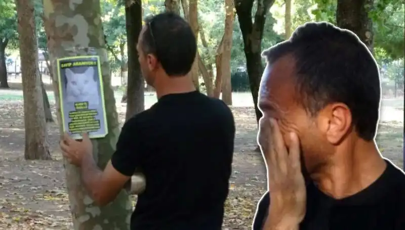 Ne Olur Yardım Edin! Kaybolan Kedi İçin 10 Bin Lira Ödül