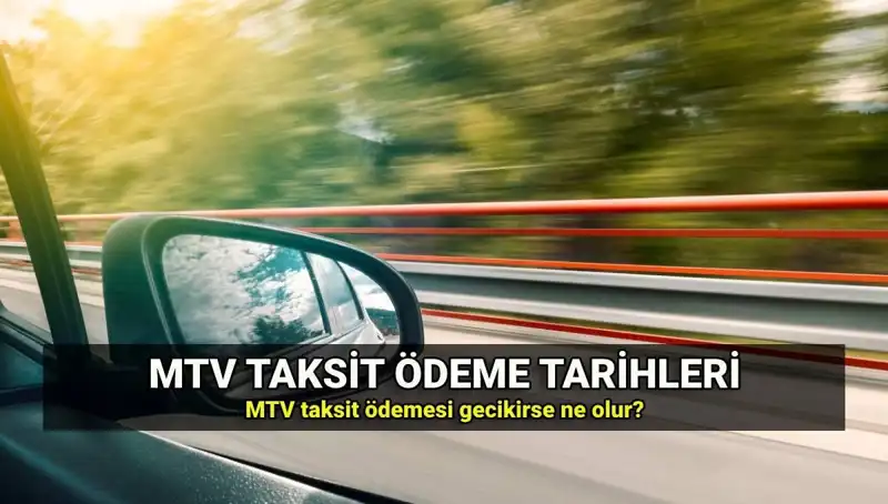 Motorlu Taşıtlar Vergisi Gecikme Faizi Oranı: 2024'te Ne Olacak?