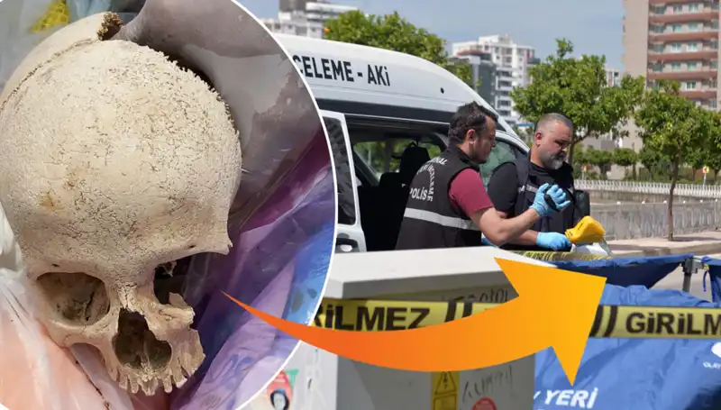 Sitenin Çöpünden Kafatası Çıktı, Uzman Doktor Gözaltında!