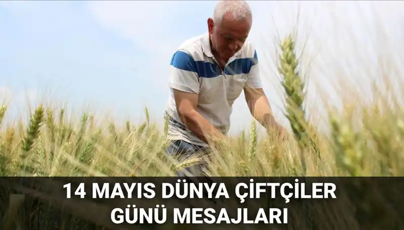 14 Mayıs Dünya Çiftçiler Günü 2025: Çiftçiler İçin Anlamlı Mesajlar