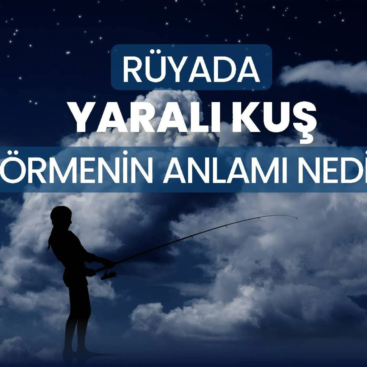 Rüyada Yaralı Kuş Görmek Ne Anlama Gelir? İşte Rüya Tabiri