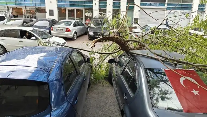 Kayseri'de Fırtına, Ağaçları Ve Hayatı Olumsuz Etkiledi