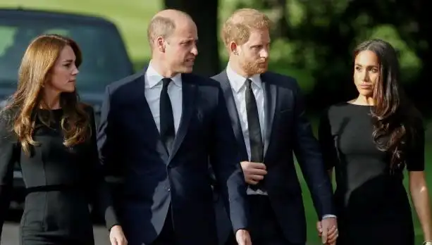 Prens William ve Harry: Affedemeyen Kardeşlik Hikayesi