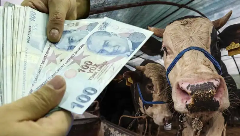 Memur ve Emekli Maaşları Bayram Öncesi Yatacak mı? Erken Ödeme Gelişmesi!