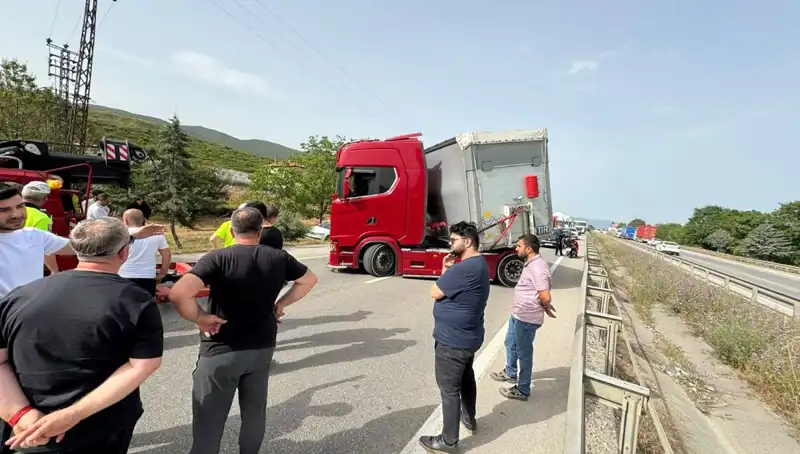 Seyir Halinde Arı Sokması ile Trafik Kilitlendi: Sürücünün Şok Anları