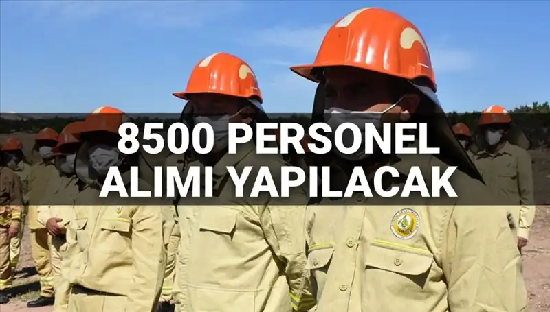 2025 Tarım ve Orman Bakanlığı Personel Alımı: 8500 Kontenjan İçin Şartlar açıklandı mı?