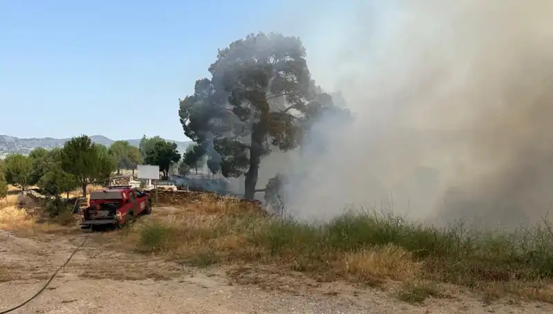 Muğla'da Orman Yangını: Doğa ve Hayat Tehdit Altında!