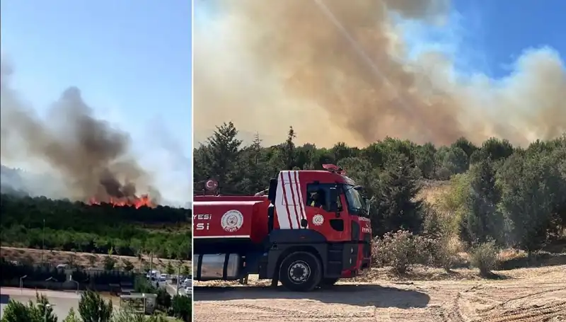 Gebze'de Korkutan Orman Yangını: Doğa Alev Alev Yandı!