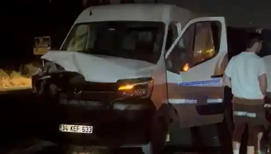 İstanbul'da Manda Kazası: Üç Yaralı, Olayın Ayrıntıları Şaşırttı