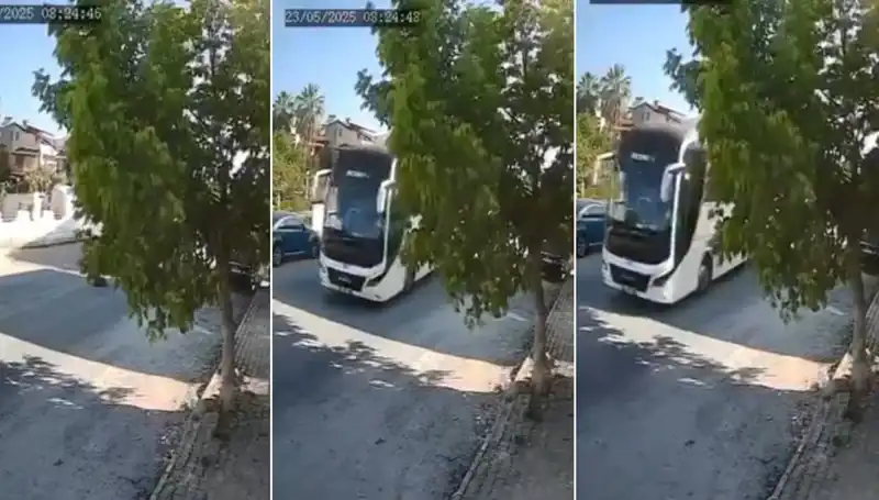 Yol Kusuru Olmadığı Halde Yolda Yatan Köpeği Ezmek Büyük Tepki Çekti