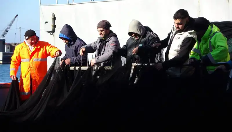 Hamsi Avında Şok: Balıkçılar Denizden Elini Etti!