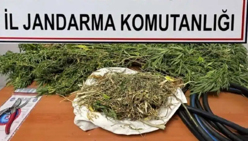 Niğde'de Uyuşturucu Operasyonu: Çok Sayıda Gözaltı ve Ele Geçirilen Maddeler