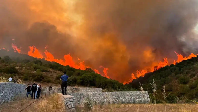 Bursa, Kocaeli ve İzmir’de Yangın Alarmı: Korkutucu Orman Yangınları Patlak Verdi
